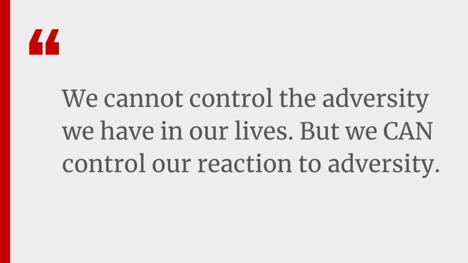 Quote: We cannot control the adversity we have in our lives. But we CAN control our reaction to adversity.